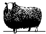 one sheep gif